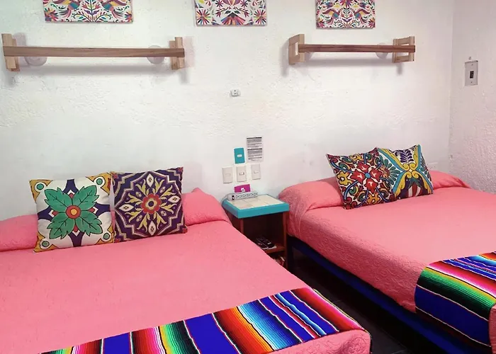 Beautiful In Akumal, Snorkeling Paradise - Wifi, Ac, Parking Apartment