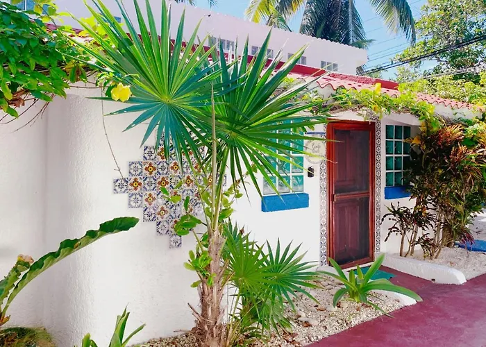 Beautiful In Akumal, Snorkeling Paradise - Wifi, Ac, Parking Apartment *